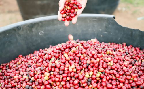 3元多，品味現(xiàn)磨精品咖啡與甜點(diǎn)時光